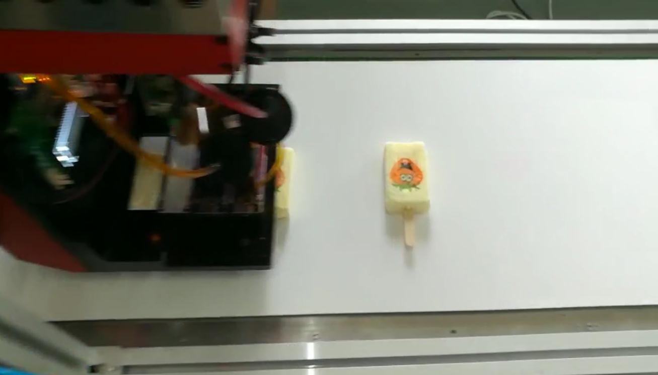 Imprimante alimentaire en ligne-SinojoinSun-imprimé avec encre comestible