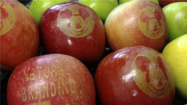 L'impression Apple fait du lutter du comté \"Contre attaque \"