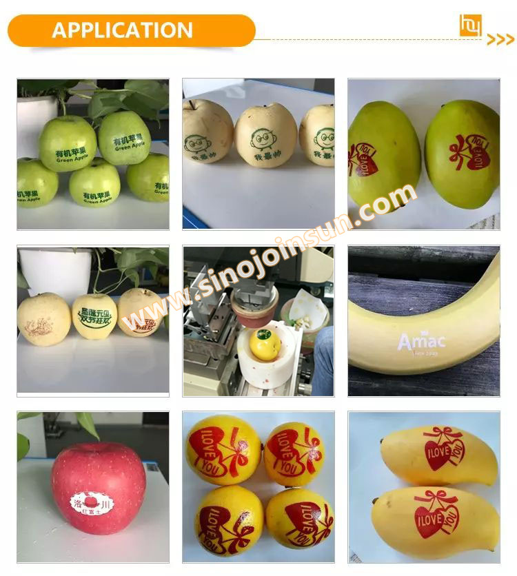 Printemps de fruits-Sinojoininsun_logo